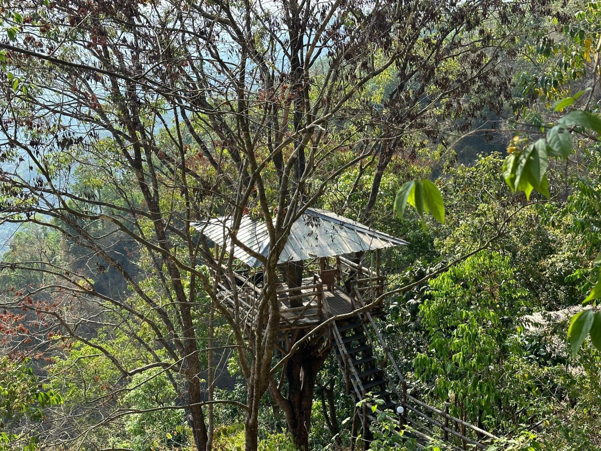 Sunset Valley Kerala Pool Resort - Serene Natural Forest Cottage Stay In Idukki With Sunrise & Sunset Panoramas, Natural Streams & Tranquil Summer Evenings Pirmed Bagian luar foto