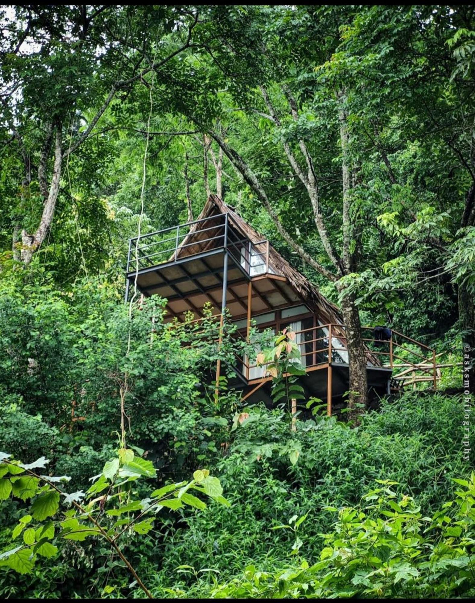 Sunset Valley Kerala Pool Resort - Serene Natural Forest Cottage Stay In Idukki With Sunrise & Sunset Panoramas, Natural Streams & Tranquil Summer Evenings Pirmed Bagian luar foto